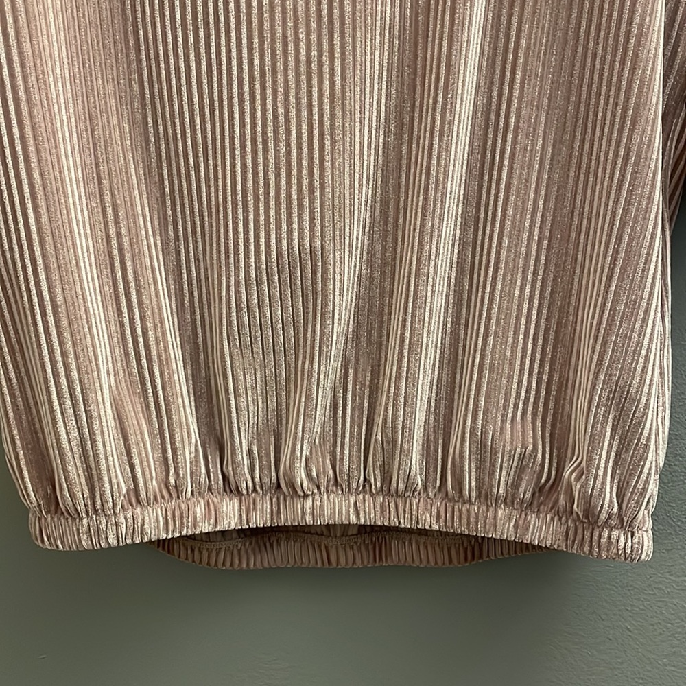 Blush Ribbed Velvet Top - Picture 3 of 8